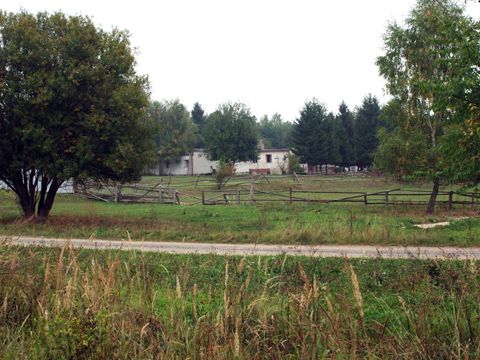 Foto 31